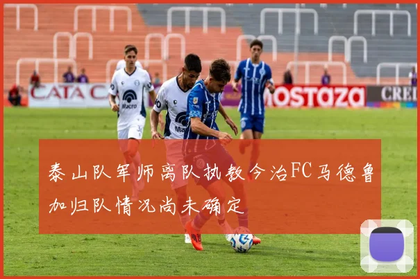 泰山队军师离队执教今治FC马德鲁加归队情况尚未确定
